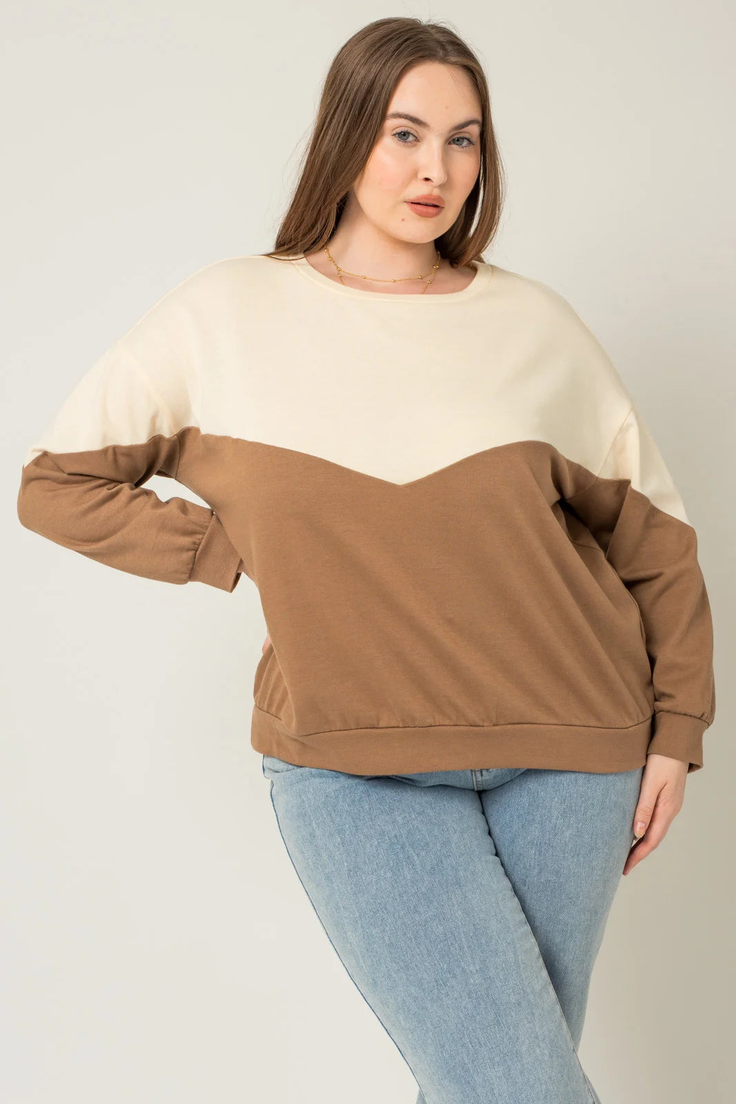 Plus Size Color Block Long Sleeve Top